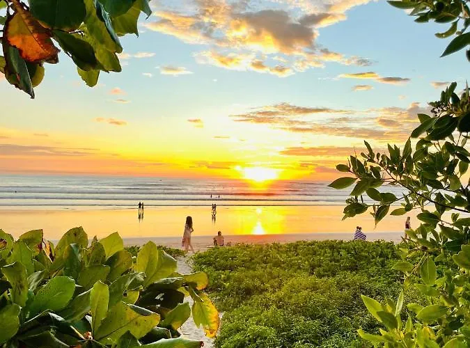 Norte - Steps To Playa Guiones